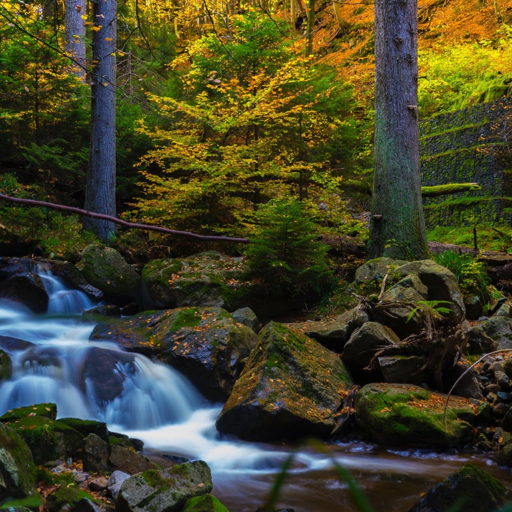 Meet your Posher, Dee